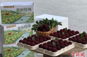 抽签占卜高速赋能产业升级：一条“杨梅路”的致富密码